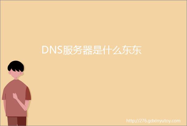 DNS服务器是什么东东